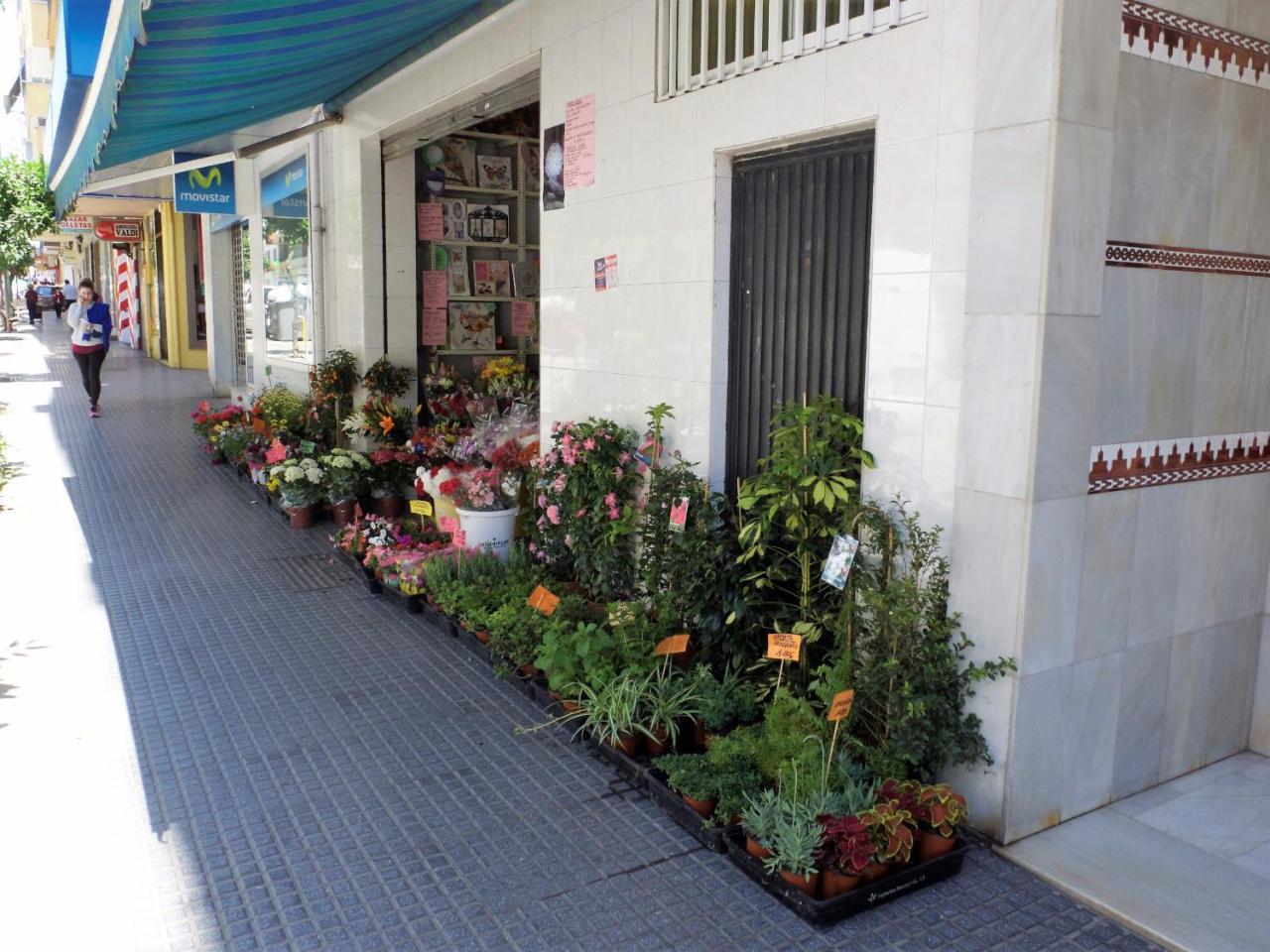 Suite Homes La Victoria Μάλαγα Εξωτερικό φωτογραφία